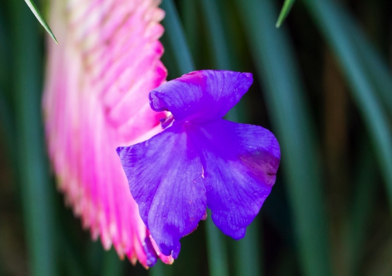 Schmetterlingshaus im Maxi Park Hamm